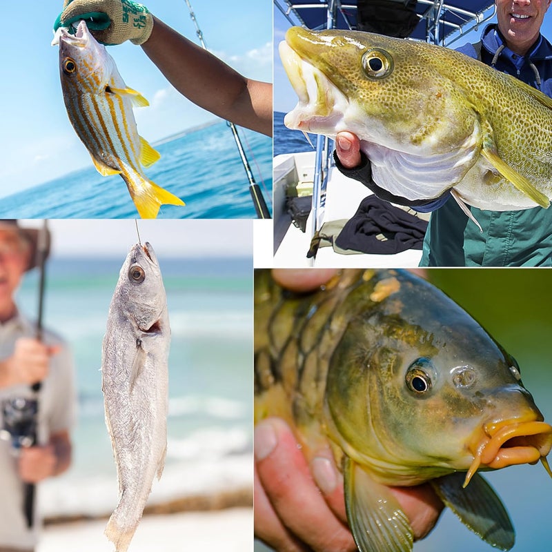 TKHDBF طقم أوزان صيد الأسماك مع دوار لأوزان الصيد في المياه العذبة والمالحة - Image 5